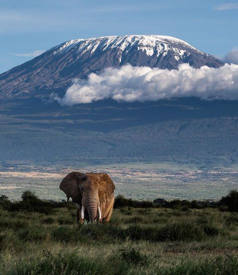 Mount Kilimanjaro
